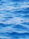 capeclear
