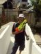 kirky7948